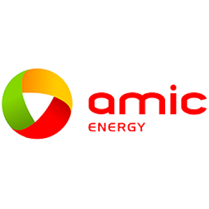 AMIC